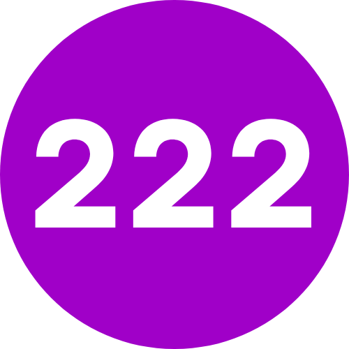 222 Angel Number